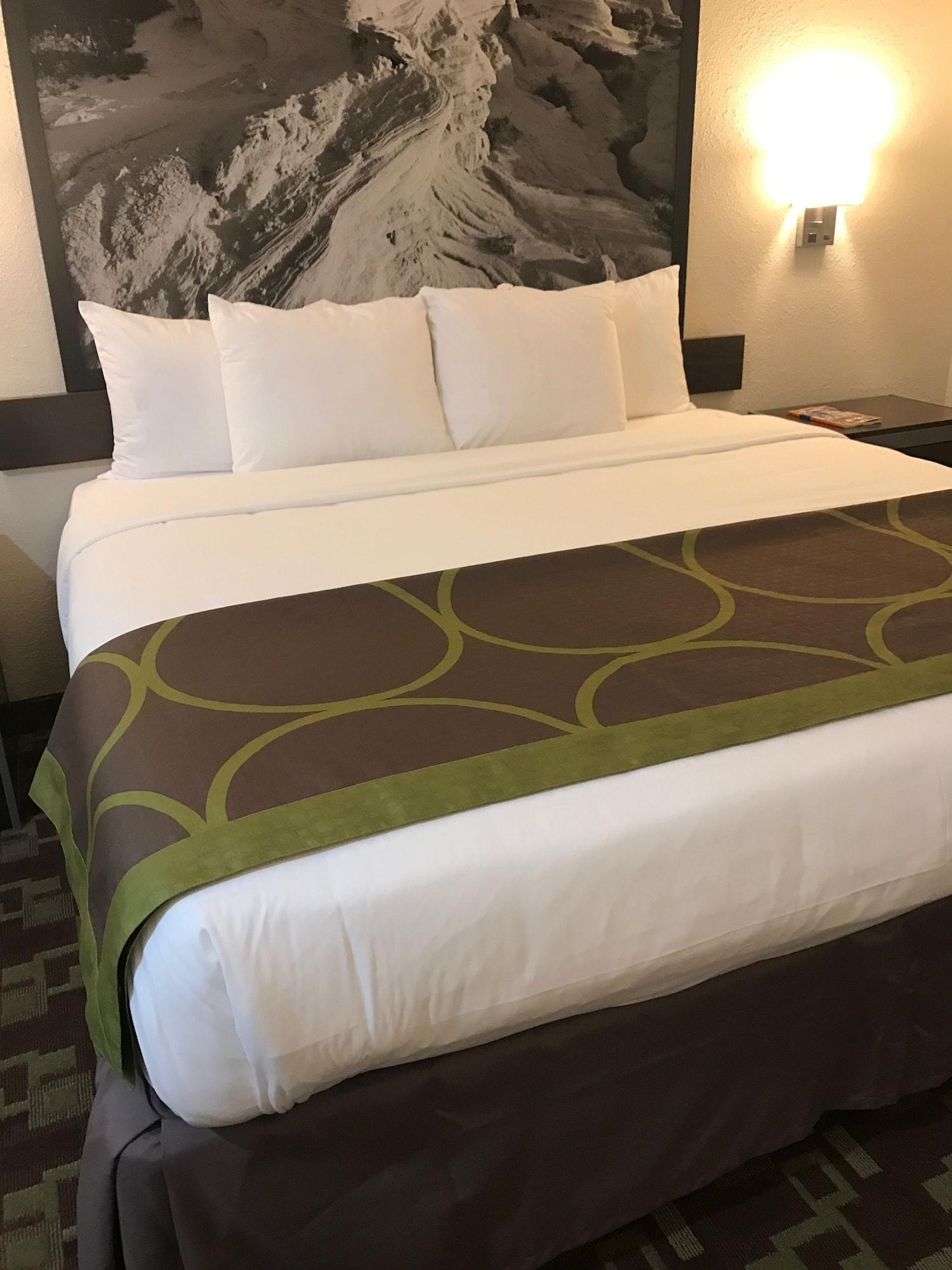 402 Hotel Omaha Esterno foto